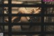 A woman laying on top of a bed covered in newspaper.