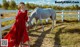 a woman in a red dress standing next to a white horse