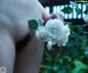 A close up of a person holding a white rose.