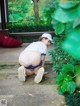 A woman in a white shirt and blue shorts crouching down on the ground.